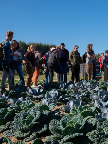 Être guidé dans un projet